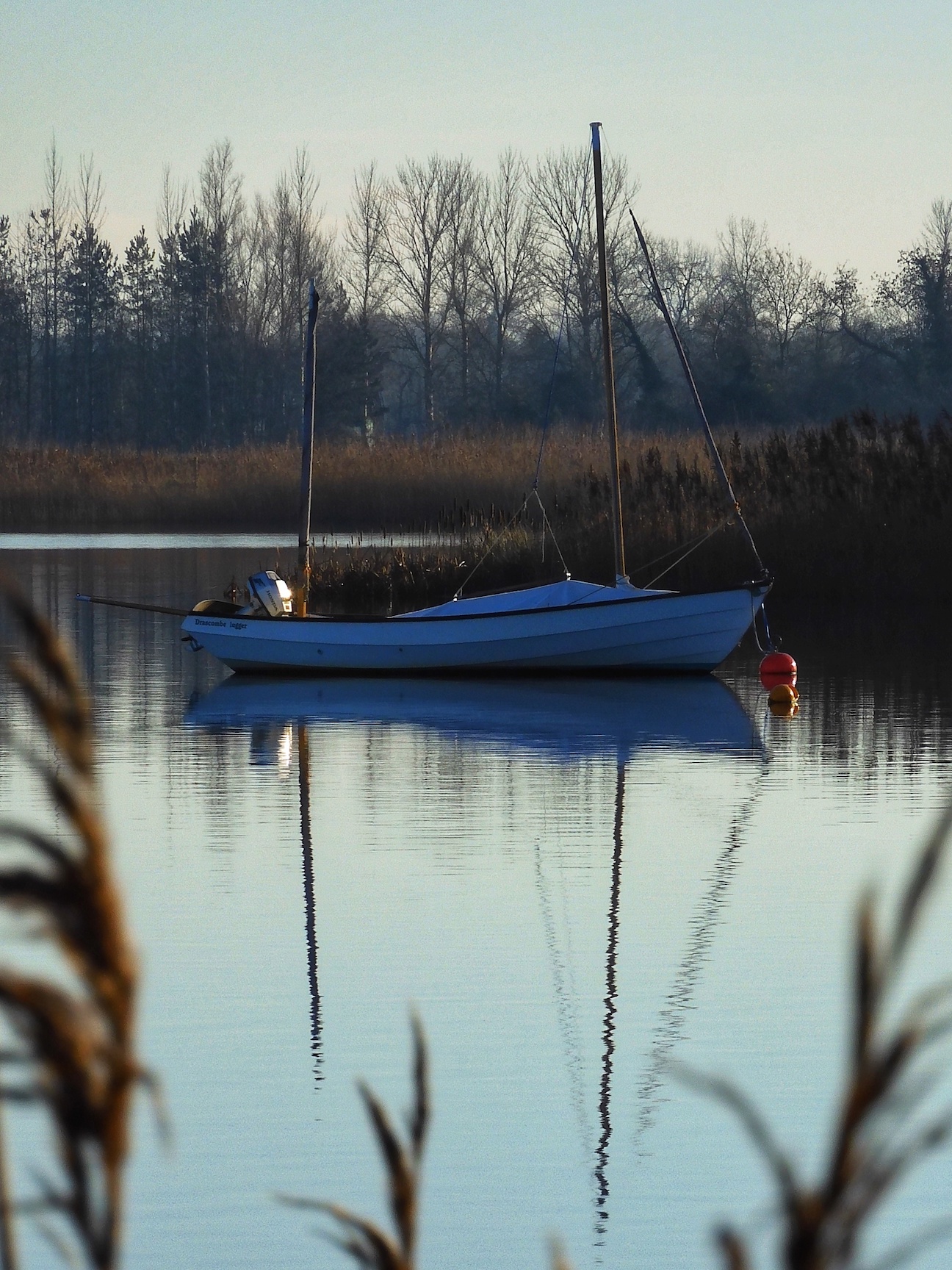 Lugger in reedy winter anchorage.